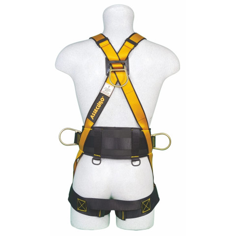 Пояс лямковий ASSECURO POZYTON QUICK NFC CA161Q