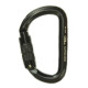 Карабін алюмінієвий з муфтою First Ascent AUTOLOCK