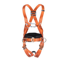 Пояс лямковий ASSECURO AKSJON PLUS CA104